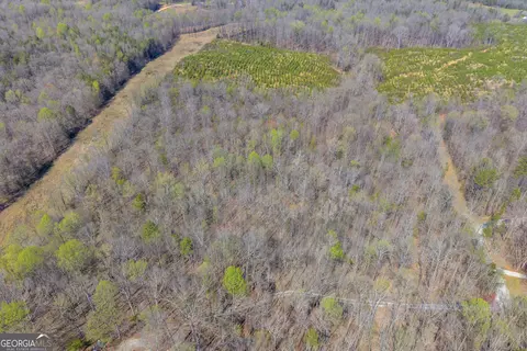 0 Rolling Rock Rd, Carnesville, GA 30521 photo 4
