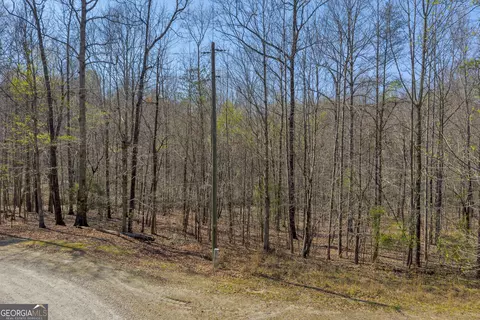 0 Rolling Rock Rd, Carnesville, GA 30521 photo 3