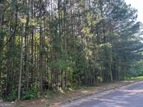 136 Harrison Pl, Hampton, GA 30228 photo 2