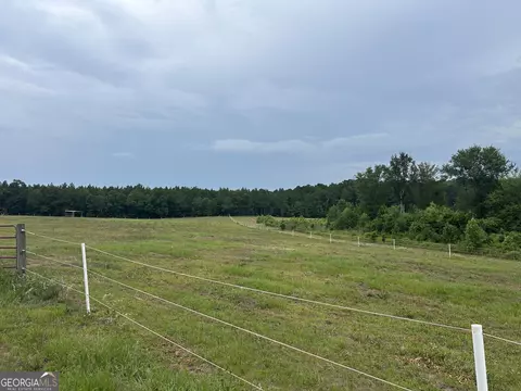 0 B Wynn Ln, Chester, GA 31021
