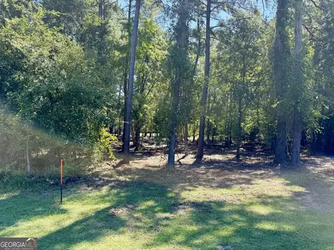 0 Friendship Rd, Sylania, GA 30467