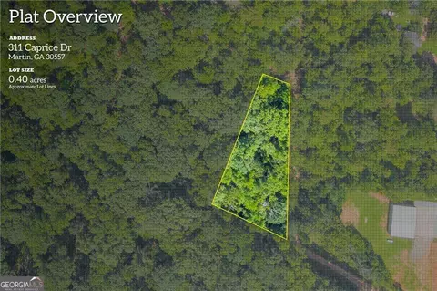 311 Caprice Dr, Martin, GA 30557