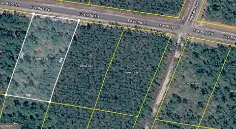 43 Fox Ridge Trail, Waynesville, GA 31566