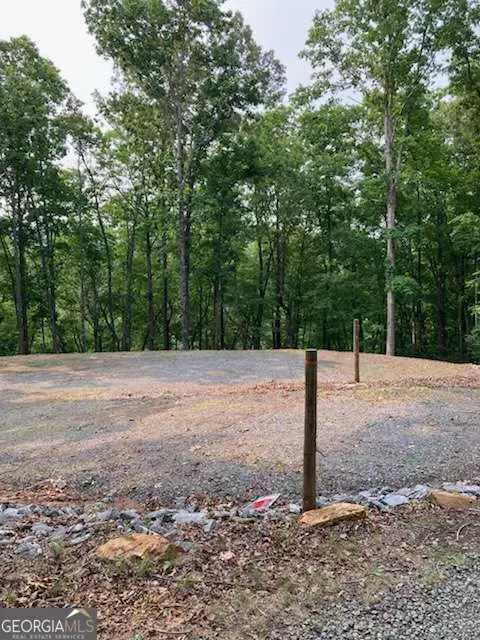 Tr 2 & 3 Settlement Road, Young Harris, GA 30582