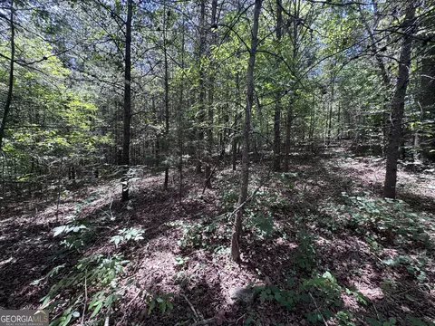 0 Sunshine Rdg, Toccoa, GA 30577 photo 3