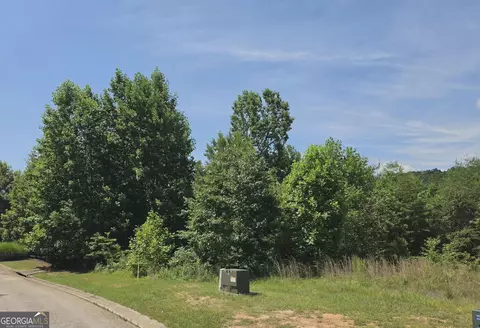 155 Coneflower Ln, Toccoa, GA 30577 photo 2