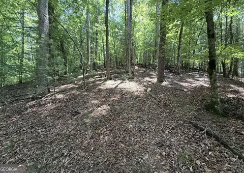 lot2607 Magnet Ct, Ellijay, GA 30540