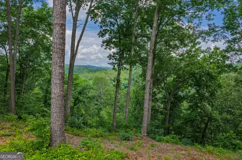lot295 A Pebble Trce, Talking Rock, GA 30175