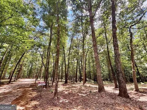 1301 Johnson Rd, Macon, GA 31220 photo 4