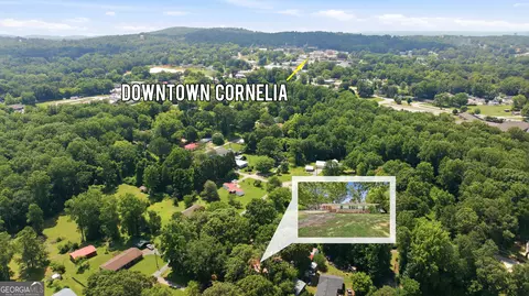 View/Area - 151 Tiny Rdg, Cornelia, GA 30531 photo 3 of 6
