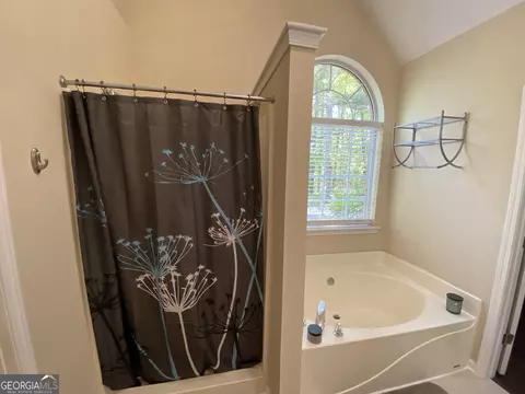 Bath - 312 Cascade Ct, Hampton, GA 30228 photo 2 of 4