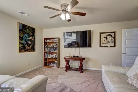 Other - 609 Caledon Way, Hampton, GA 30228 photo 8 of 11