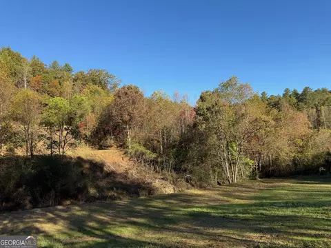 0 Zoellner Ln, Dillard, GA 30537 photo 12