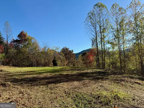 0 Zoellner Ln, Dillard, GA 30537 photo 4