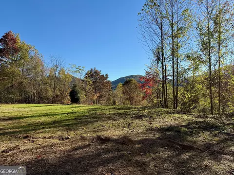 0 Zoellner Ln, Dillard, GA 30537 photo 5