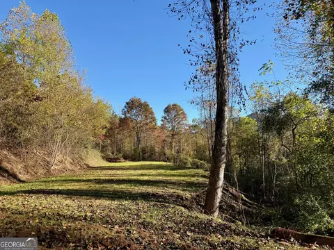 0 Zoellner Ln, Dillard, GA 30537 photo 3