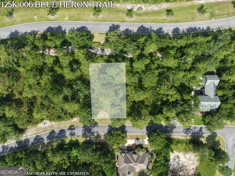lot6 Blue Heron Trl, Waverly, GA 31565