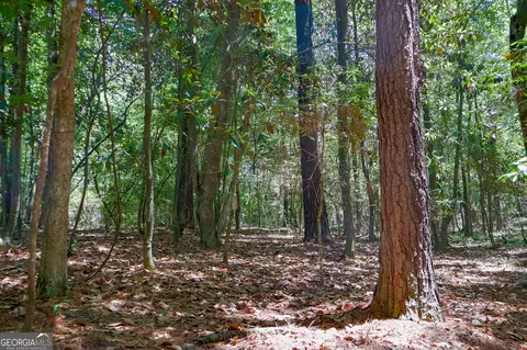 232 Crane Rd, Cochran, GA 31014