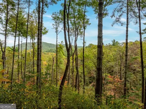 lot1 Chief Whitetails Rd, Ellijay, GA 30540