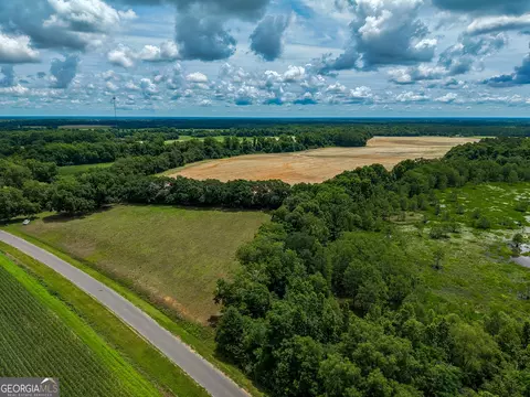 1 Haynes Rd, Edison, GA 39846 photo 23