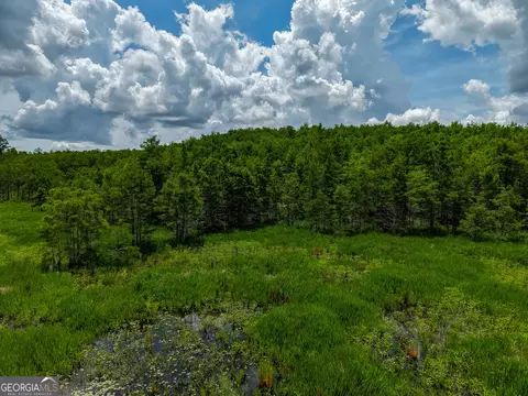 1 Haynes Rd, Edison, GA 39846 photo 21