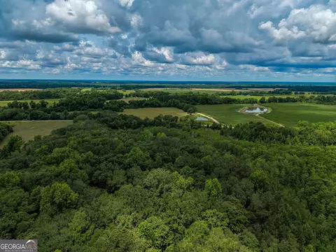 1 Haynes Rd, Edison, GA 39846 photo 17