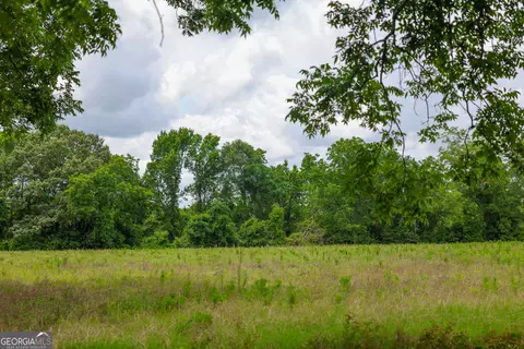 1 Haynes Rd, Edison, GA 39846 photo 7