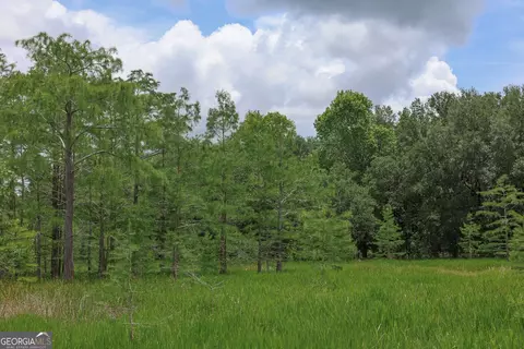 1 Haynes Rd, Edison, GA 39846 photo 8