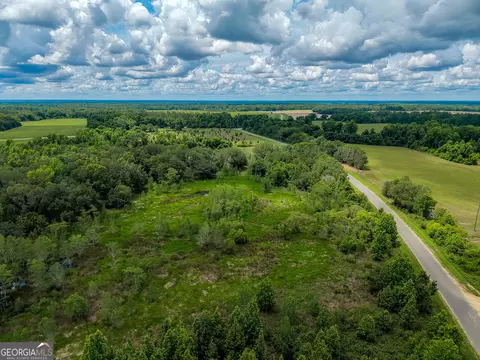 1 Haynes Rd, Edison, GA 39846 photo 14