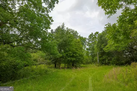 1 Haynes Rd, Edison, GA 39846 photo 4