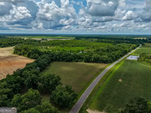 1 Haynes Rd, Edison, GA 39846 photo 16