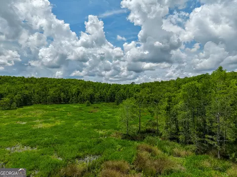 1 Haynes Rd, Edison, GA 39846 photo 15