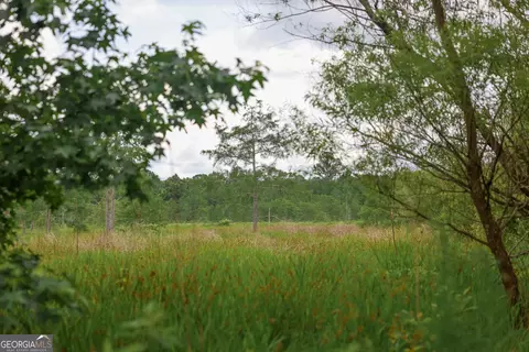 1 Haynes Rd, Edison, GA 39846 photo 3