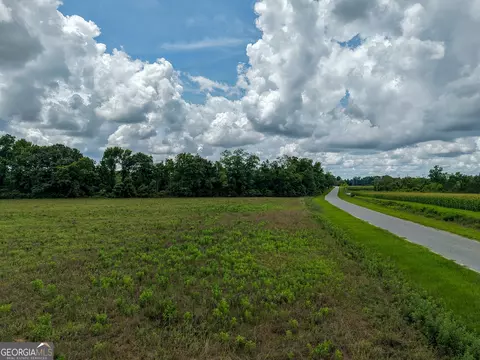 1 Haynes Rd, Edison, GA 39846 photo 11