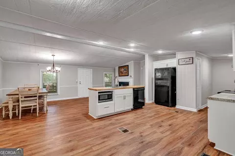 Other - 170 Gary Brewer Rd, Cobb, GA 31735 photo 5 of 13
