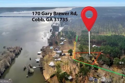 Other - 170 Gary Brewer Rd, Cobb, GA 31735 photo 10 of 13