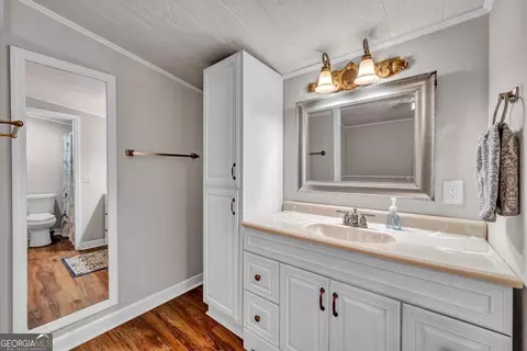 Bath - 170 Gary Brewer Rd, Cobb, GA 31735 photo 3 of 5