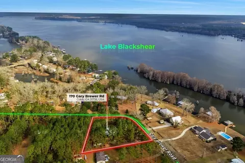 Other - 170 Gary Brewer Rd, Cobb, GA 31735 photo 12 of 13