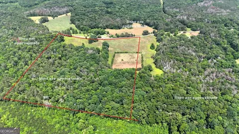 00001 Melear Rd, Bowdon, GA 30108 photo 23