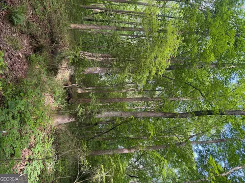 00001 Melear Rd, Bowdon, GA 30108 photo 43