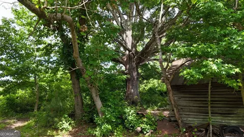 00001 Melear Rd, Bowdon, GA 30108 photo 31