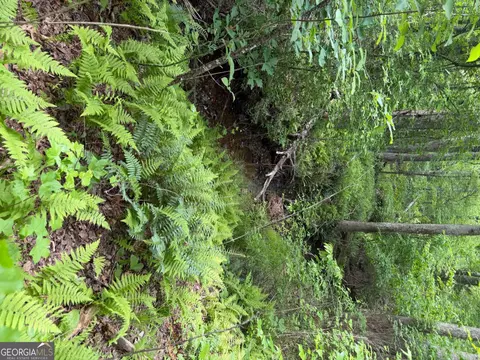 00001 Melear Rd, Bowdon, GA 30108 photo 38