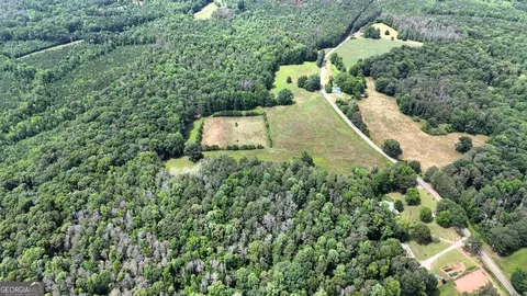 00001 Melear Rd, Bowdon, GA 30108 photo 17
