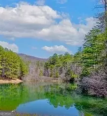 0 Golden Delicious Rd, Clarkesville, GA 30523
