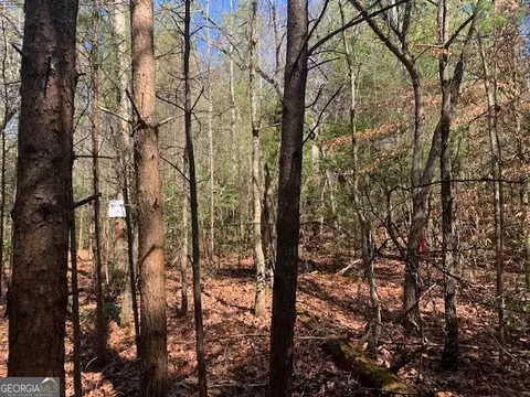 0 E New Hope Rd #TRACT C, Ellijay, GA 30536