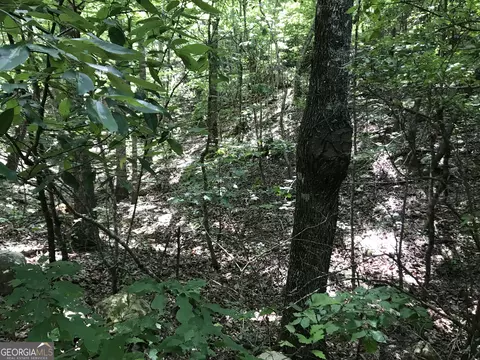 587 E Valley Rd NE, Rydal, GA 30171 photo 18