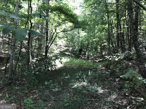 587 E Valley Rd NE, Rydal, GA 30171 photo 10