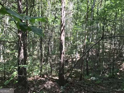 587 E Valley Rd NE, Rydal, GA 30171 photo 25