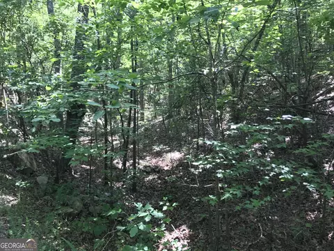 587 E Valley Rd NE, Rydal, GA 30171 photo 27
