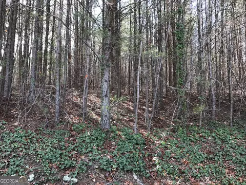 587 E Valley Rd NE, Rydal, GA 30171 photo 9